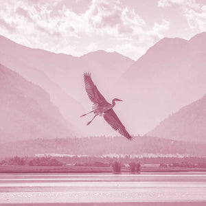 Receive Kit: Nurture Your Nature and Welcome Support