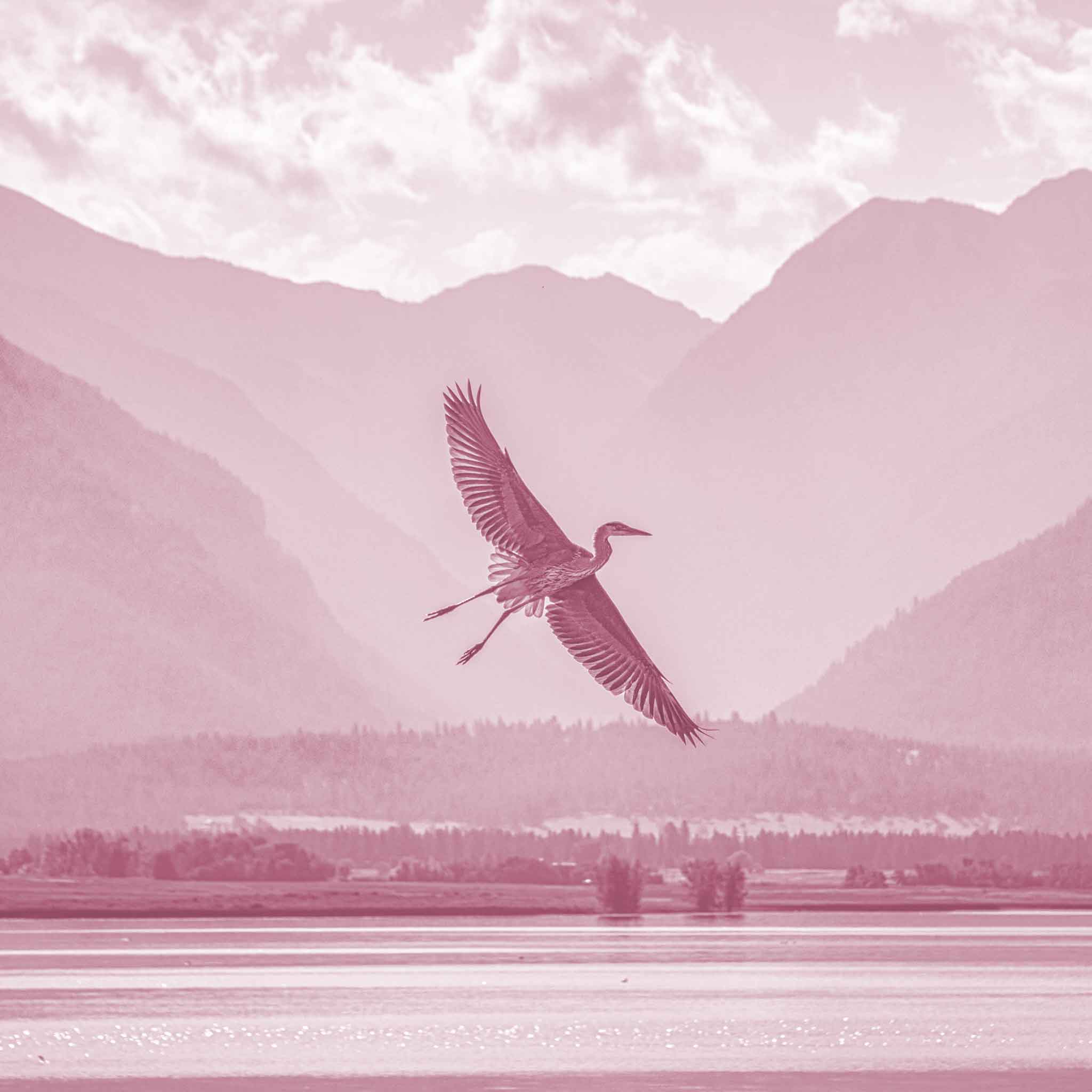 Receive Kit: Nurture Your Nature and Welcome Support