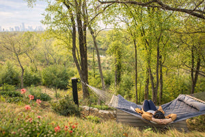 Daylight Gathering | $950 Total