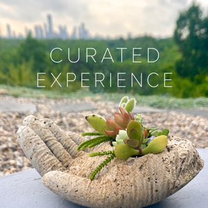 Curated Experience Reservation